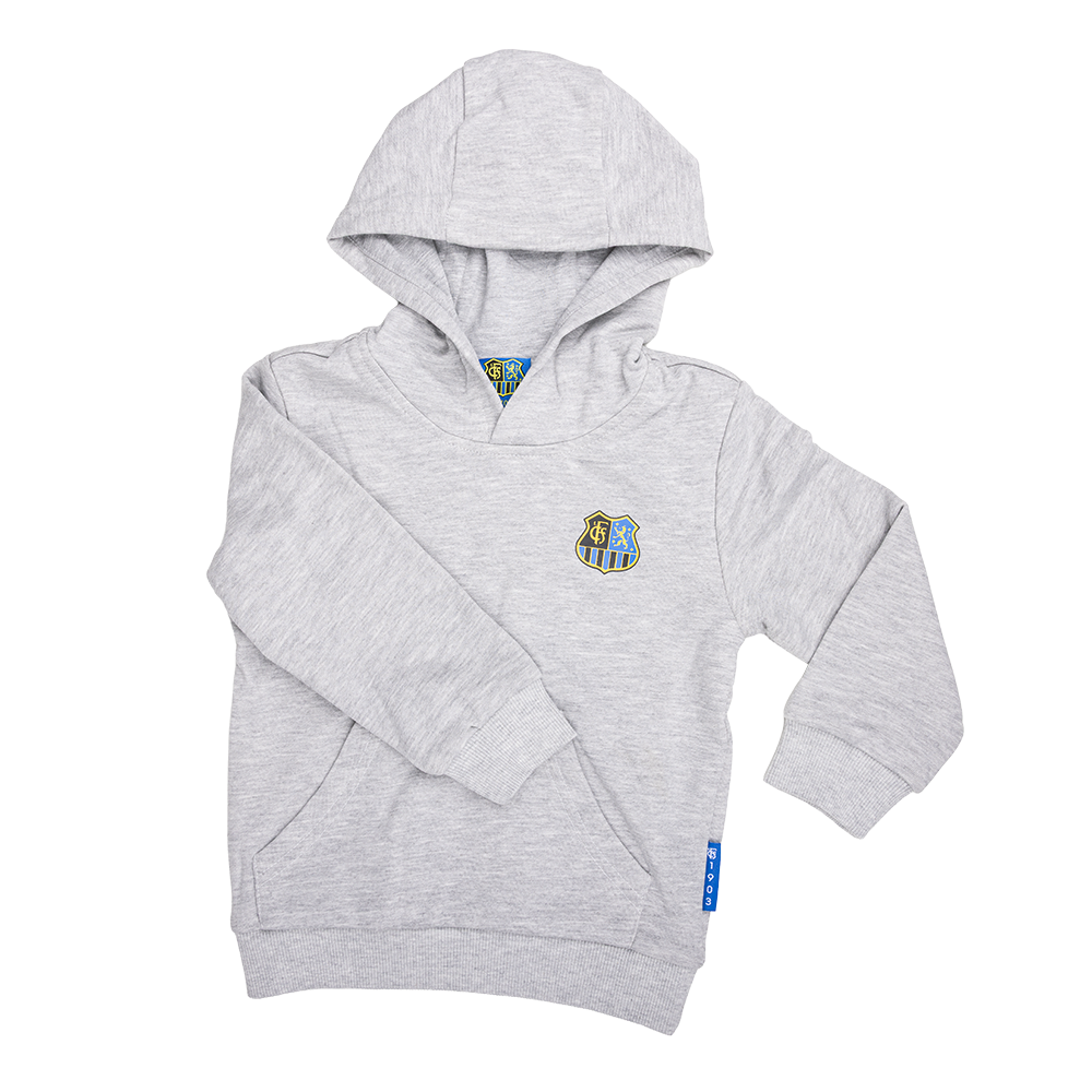 Kids' Hoodie Grey Crest