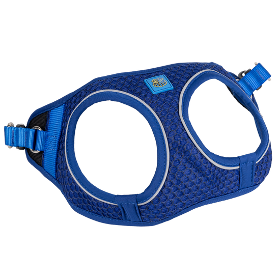 Hundegeschirr blau - FCS