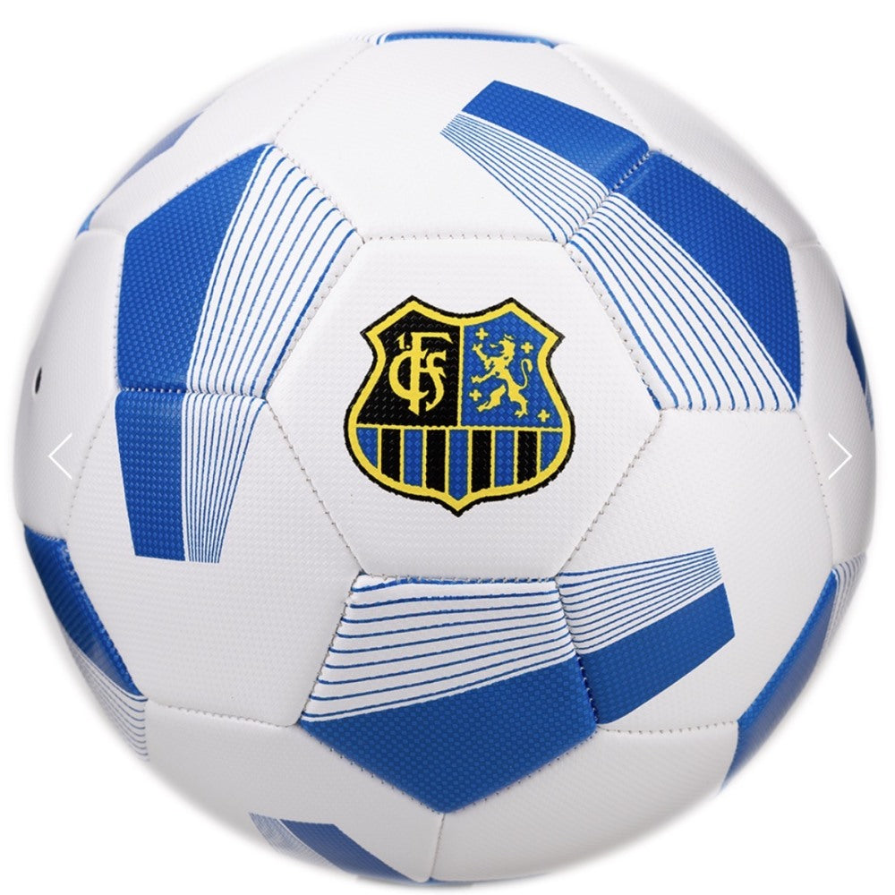 Ball groß (Größe 5)
