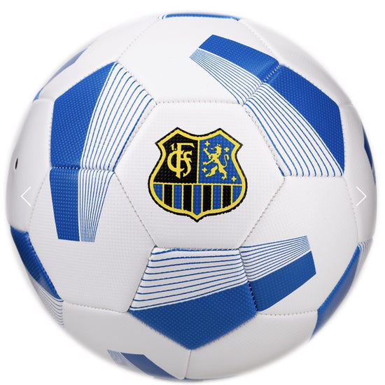 Ball groß (Größe 5)