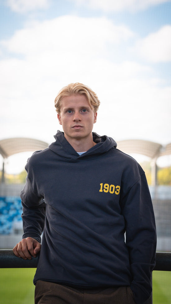 Hoodie grau Ludwigspark