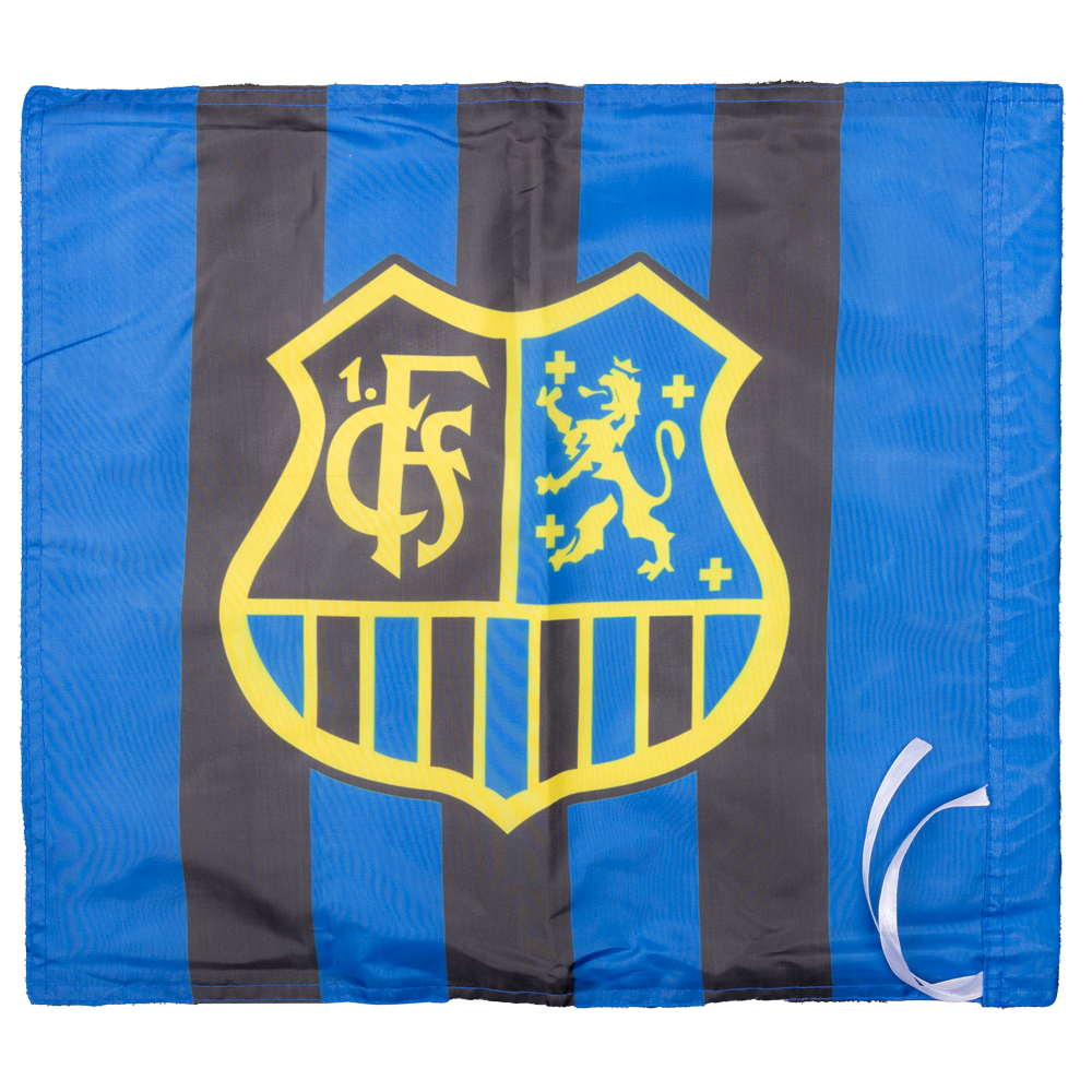 Fahne klein mit Wappen schmalgestreift