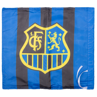 Fahne klein mit Wappen schmalgestreift